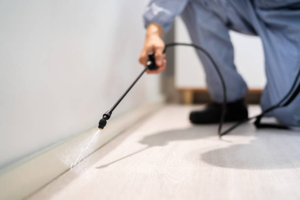 Licensed Termite Control service in Delta County County, MI - Nex Pest Control