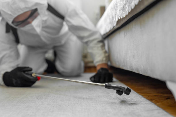 Professional Termite Control technician working in Delta County County, MI